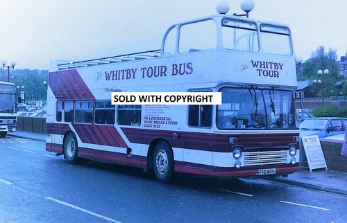 Bus negative 35mm whitby - negative, tour