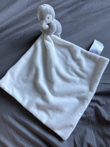 Bnwot little white - little,