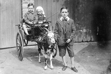 rp15088 - Children in a Goat