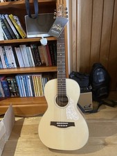 Seagull Entourage Acoustic Guitar