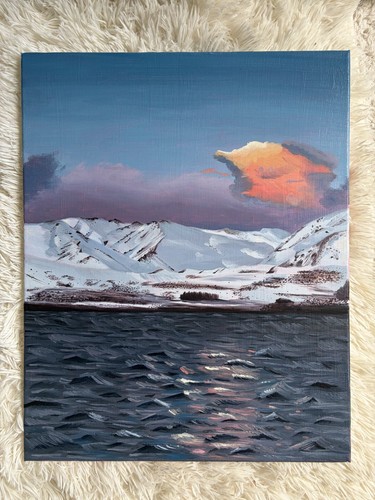 Lake tekapo winter - in, 16x20