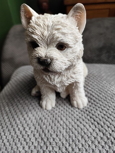 West highland terrier - west,