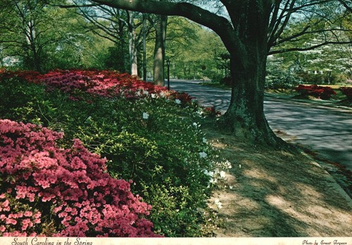 Postcard garden trails spring - postcard,