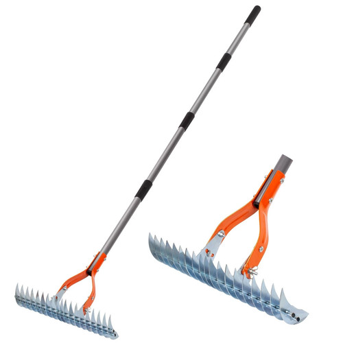 Walensee lawn thatch rake - lawn,