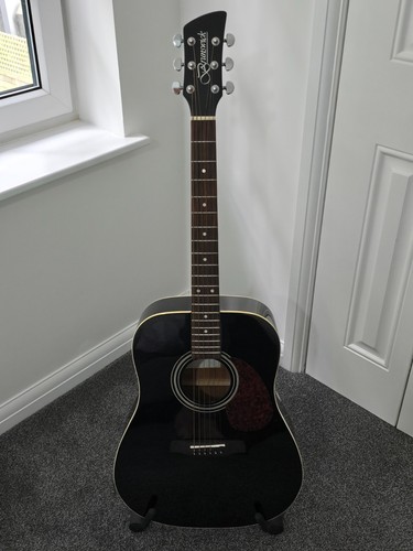 Brunswick dreadnought acoustic - brunswick,