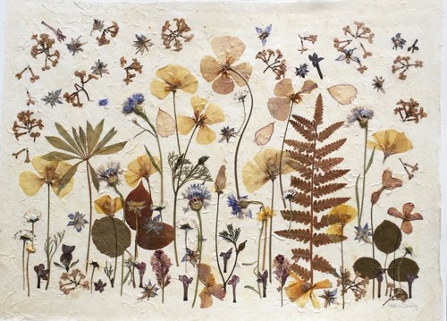 Pressed flower collage - pressed,