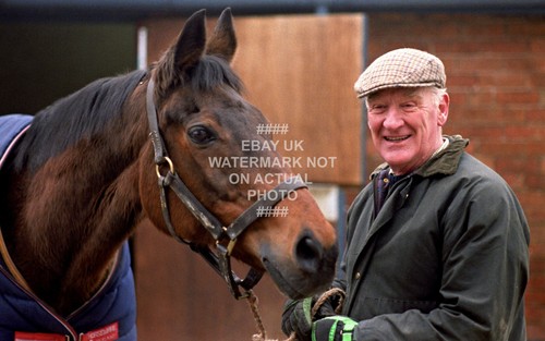 Red rum ginger - rum, mccain