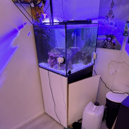 Red saw reefer xl200