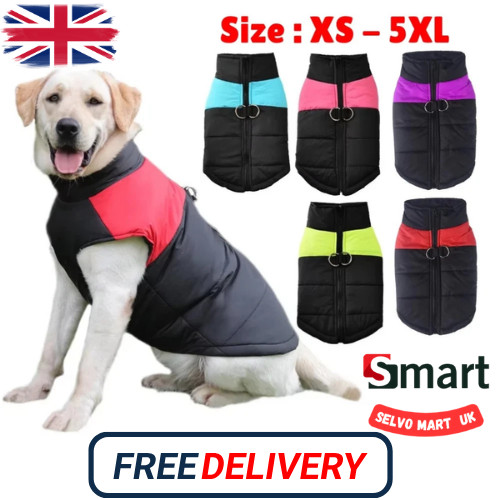 Pet vest jacket - jacket, warm