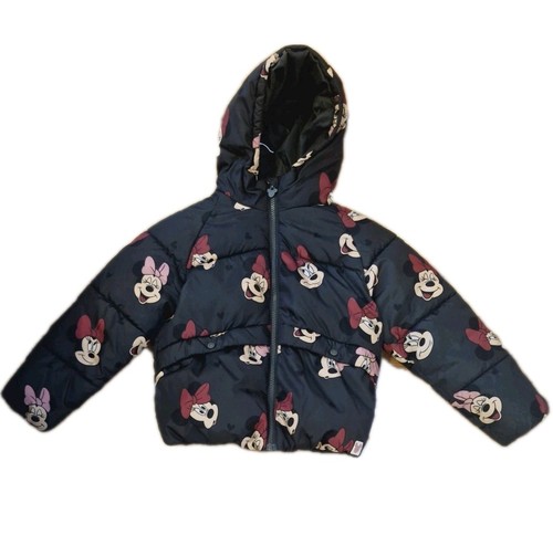 Disney mini mouse kids - mouse, zip