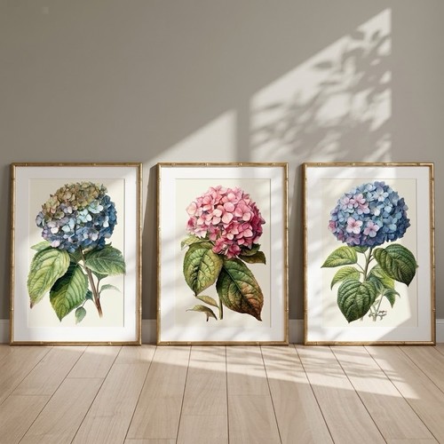 Set vintage botanical - vintage,