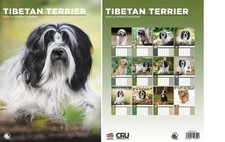 Tibetan Terrier 2026 Calendar