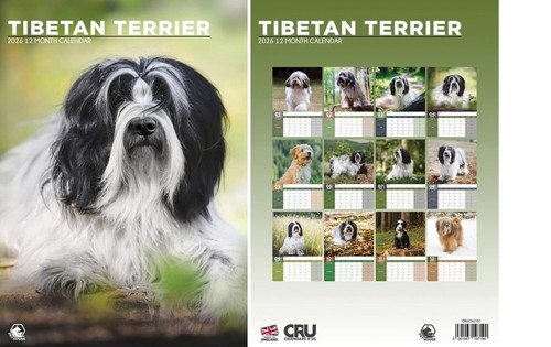 Tibetan terrier 2026 calendar - terrier,