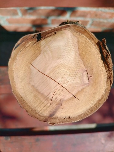 Cherry blanks turning logs - blanks, logs/