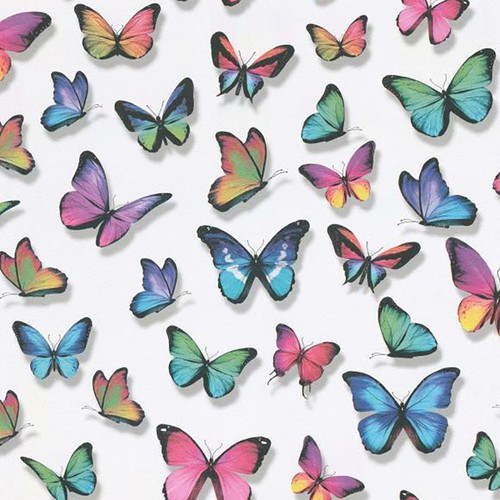 Multicoloured butterfly - multicoloured,