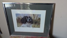Signed Ltd Edition Print "Head Of Black & White Springer"  Mick Cawston 212/495