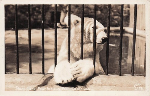 Rppc polar bear point defiance - polar,