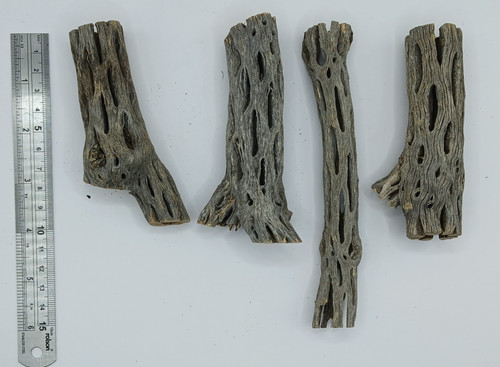 Cholla cactus wood - 4,