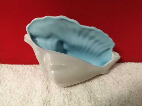 Poole twintone conch - twintone,