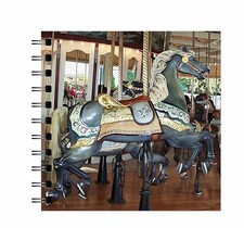 Lake Compounce Jumper Horse