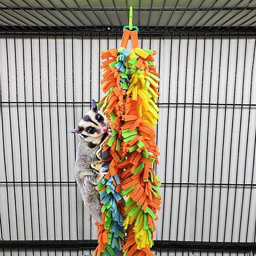 Parrot bird chewing toy bite - bird,