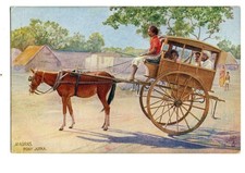 India. Madras. Pony Jutka