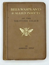 BEES, WASPS, ANT & ALLIED