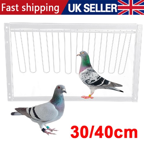 Removable trap door bird - trap,