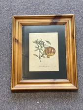 Wooden Framed Book Plate Of A