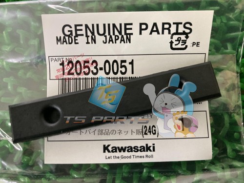 Cam chain guide for - cam,