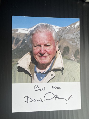David attenborough wildlife - -,