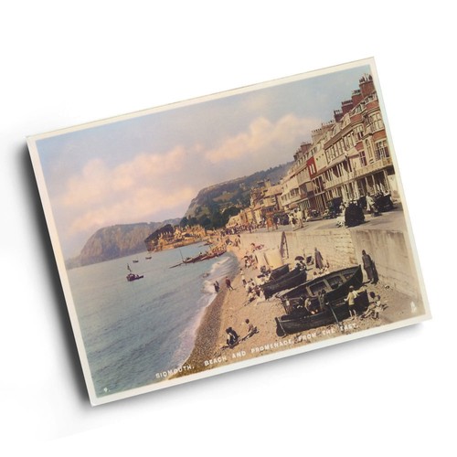 Print vintage devon - devon,