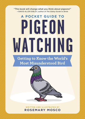 Pocket guide pigeon - a, to