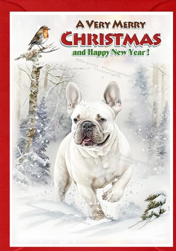 French bulldog christmas - bulldog,