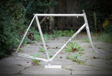 Eddy Merckx Professional Frame
