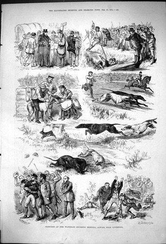 Antique print sketches - antique,