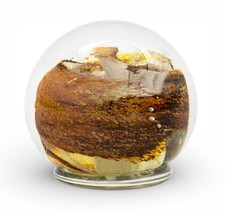 Isle of Wight Michael Harris