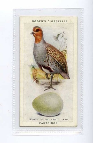 Ogdens british birds - (jj3631), ogdens,british