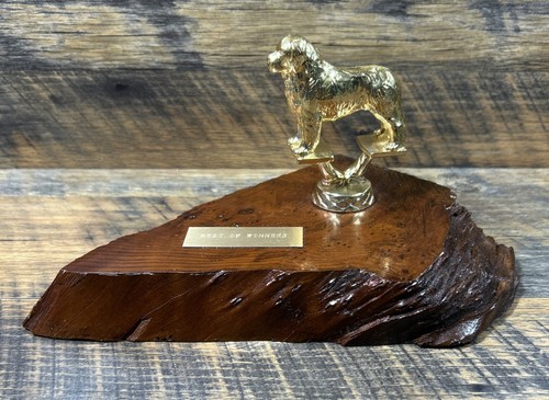 Vintage bernard dog trophy - dog,
