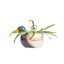 Sass & Belle Mallard Duck Mini
