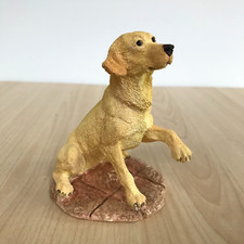 Border Fine Arts Yellow