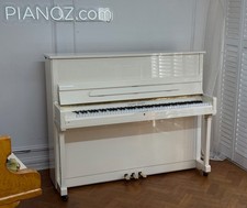 Young Chang 118 White Gloss