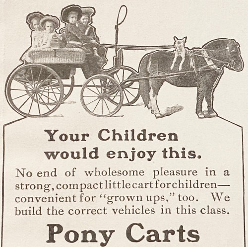 Pony carts kids - pony, wagon