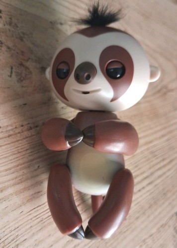 Fingerling sloth kingsley - -,