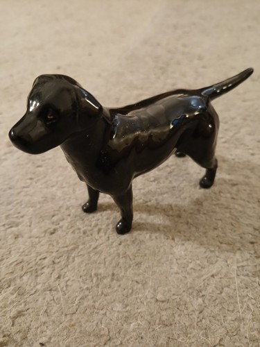 Beswick black labrador gold - black,