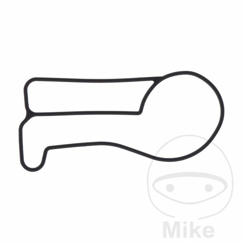 Water pump gasket - pump,