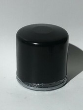 10016 Reliant Rialto, Regal