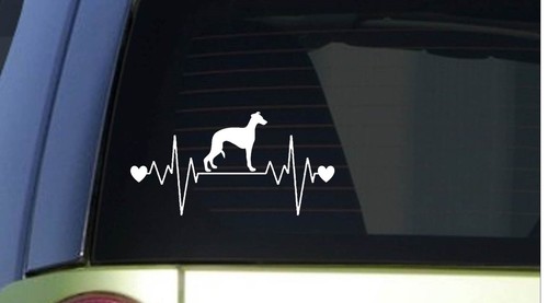 Whippet heartbeat lifeline