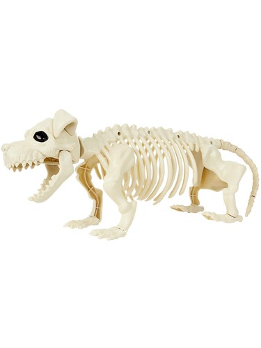 Dog skeleton prop - dog,