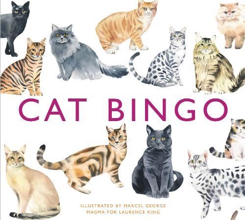 Cat bingo - cat,